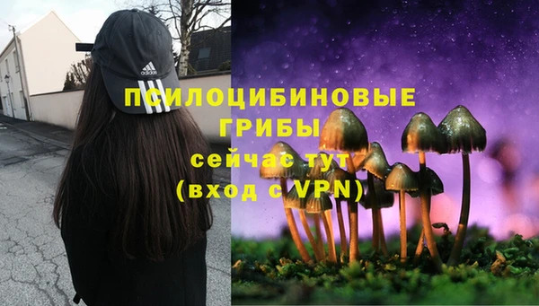 спиды Бугульма
