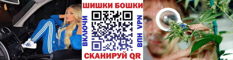 Купить где  Котельнич  Канабис SATIVA & INDICA 